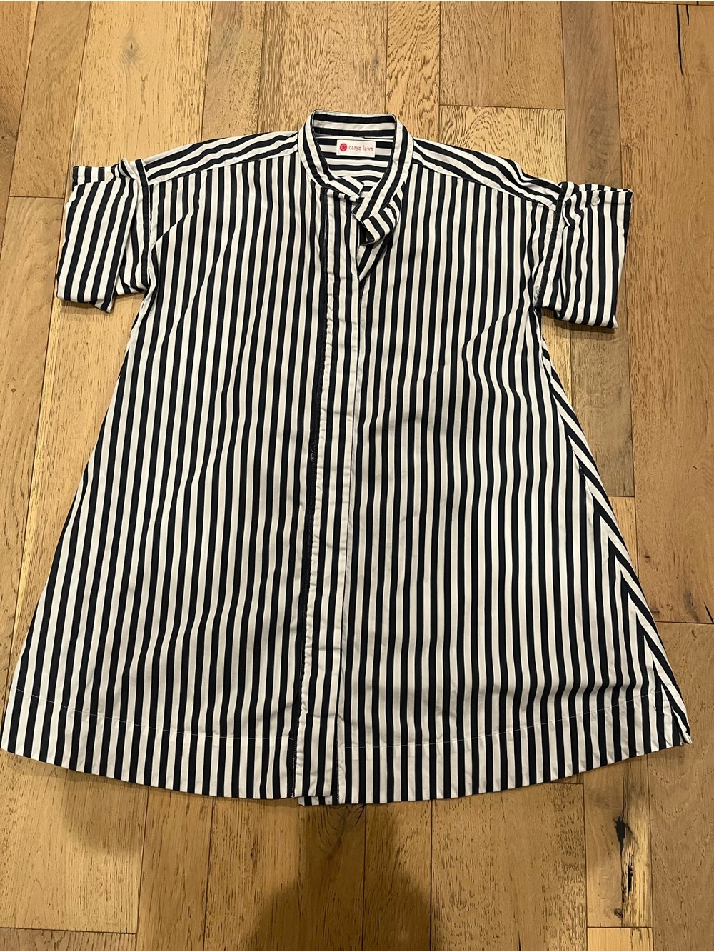 Caryn Lawn blue and white short sleeve button down mini dress